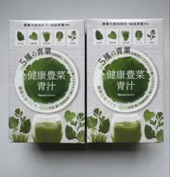 ナリス 健康豊菜 青汁 30包×2箱 新品 - メルカリ