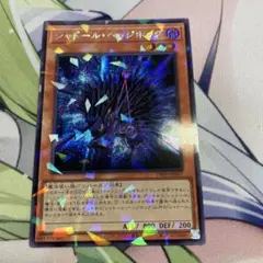 シャドールヘッジホッグ　シークレットパラレル　シクパラ　アジア