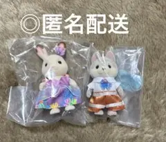 どきどきフレンズ ゆめいろマリン 2点セット