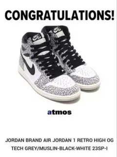 AIR JORDAN 1 RETRO HIGH OG