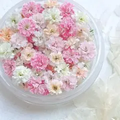 Cui_Cui販売終了様 リクエスト 2点 まとめ商品