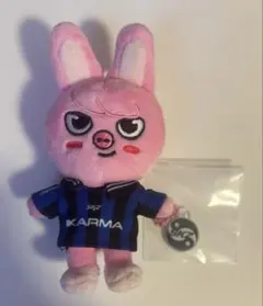 スキズ チャンビン トェッキ ぬいぐるみ KARMA おまけ付き