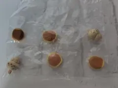 ちいかわ すやすやマスコット うさぎ