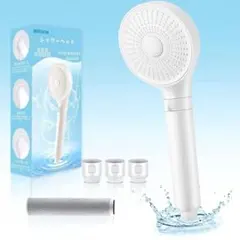 Item thumbnail for item 4d9b1a8f-31d2-4f43-8fb9-0264cad403eb