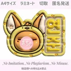 zzz様 リクエスト 2点 まとめ商品