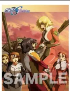 ガンダムSEED 映画 FREEDOM 特典 ポストカード アスラン カガリ