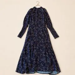 エイミーイストワール ロングワンピース カットワーク 花柄 M