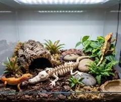 【爬虫類・アクアリウム用】可動式 ワニの骨格フィギュア レイアウト