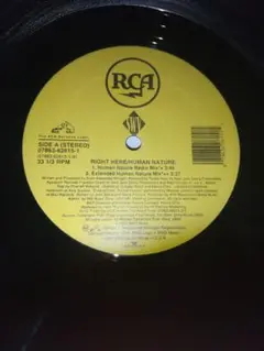 swv right here human nature 1993us盤