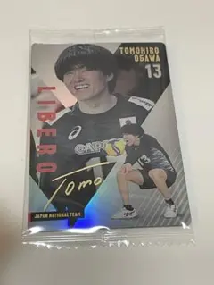 男子バレーボールツインウエハース2025 小川智大　レア