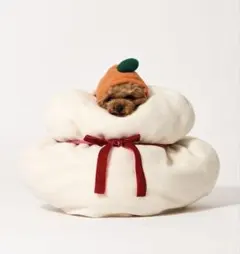 Item thumbnail for item 1edd5766-47b3-4c84-9481-a2fb0d0a1914