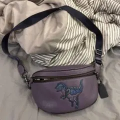 2026年最新】コーチ レキシー ショルダーバッグの人気アイテム - メルカリ