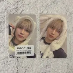 &TEAM YUMA ユウマ 雪明かり ふわふわ アニマル トレカ 2枚セット