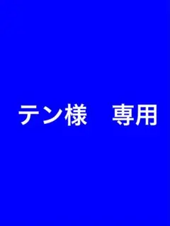 テン様　専用