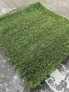 Item thumbnail for item 10df3e61-05da-4f09-a69a-9bc5528f0844