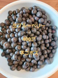 生ブルーベリー　400グラムのサムネイル