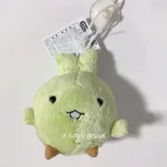 2025年最新】キッコロ ぬいぐるみの人気アイテム - メルカリ