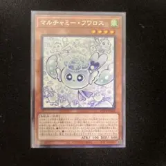 マルチャミーフワロス　管理番号ｅ
