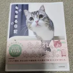 もちまる日記