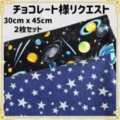 【チョコレート様リクエスト] 30×45 ランチョン 給食ナフキン ２枚セット