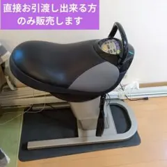 2025年最新】乗馬マシンの人気アイテム - メルカリ