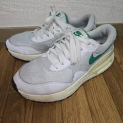 NIKE AIR MAX SYSTM 25cmのサムネイル
