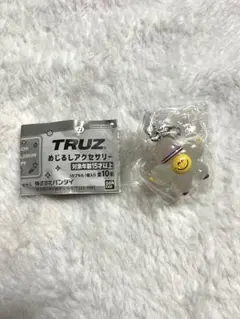TRUZめじるしアクセサリー　ROMY
