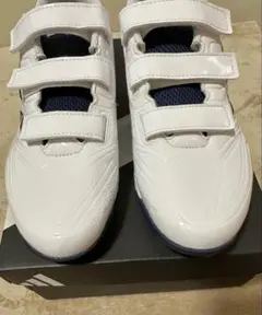 Item thumbnail for item 270b9fa0-c8e1-45e7-96a3-a9a7008d1aa6