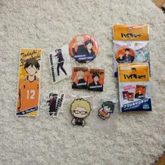 ハイキュー!! 月島蛍 山口忠 烏野高校