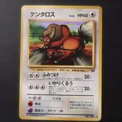 【旧裏面】ケンタロス　第2弾拡張パック ポケモンジャングル