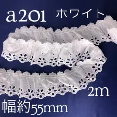 a201刺繍入り綿生地フリルレース　ホワイト（2m）