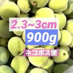 青梅 小梅 栽培期間中無農薬　福島県産　900g ネコポスのサムネイル