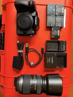 2026年最新】Lumix 45-200の人気アイテム - メルカリ