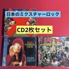ソウルフラワーユニオンCD2枚★中川敬ニューエストモデルメスカリンドライヴ