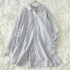 ✨美品✨anysis 洗える バックシャンイージーケア シャツ 長袖ブラウス