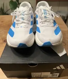 dizero EVO SL WOVEN スポーツデポ アルペン限定カラー26.5