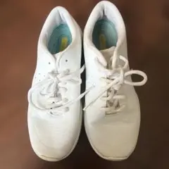 Item thumbnail for item 0afb7204-6388-478e-ab62-8d092f10083e