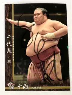 BBM 大相撲カード　横綱 鶴竜関直筆サインカード 横綱 白鵬 鶴竜 サインカード 直筆 - メルカリ