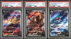 【階段連番　PSA8 9 10】ライコウV エンテイV スイクンV 三犬 SAR