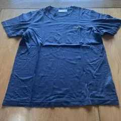 レア　Calvin Klein PLATINUM　Tシャツ　カジュアル　アメカジ