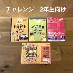 チャレンジ　2年生向け　4冊セット