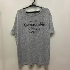 Abercrombie & Fitch Tシャツ グレー Lサイズのサムネイル