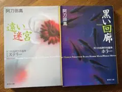 遠い迷宮 ／黒い回廊　阿刀田高傑作短編集 2冊セット