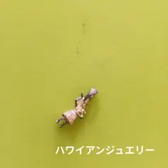 ハワイアンジュエリー　フラガールデザイン