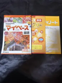 Item thumbnail for item 1efb46a6-df26-4582-b5df-0ee286206b58