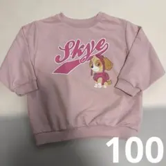 パウパトロール スカイ トレーナー 100