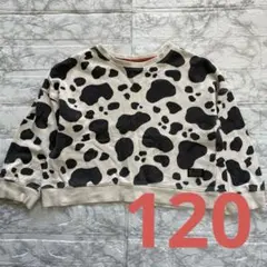 マイリトルワンダー　カウ柄　トレーナー
