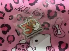 ポケモン30周年 メタルチャームマスコット ヒトカゲ めじるし