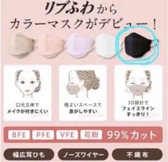 12枚●不織布マスク　黒　立体形状マスク　ブラック