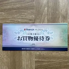 ヤマダ電機の株主優待券 お買物優待券 5000円分（500円10枚）